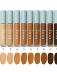 Alter Ego Concealer + Brush Set