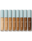 Alter Ego Concealer